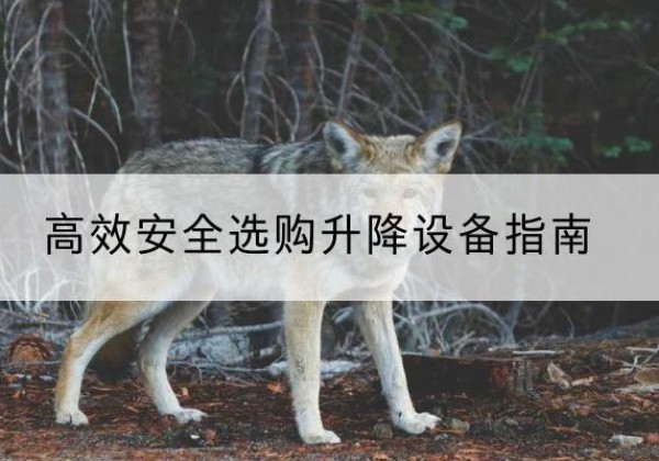 大通升降货梯厂家推荐-*安全选购升降设备指南